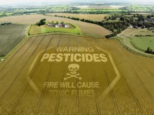 Risultati immagini per Morire di  Pesticidi