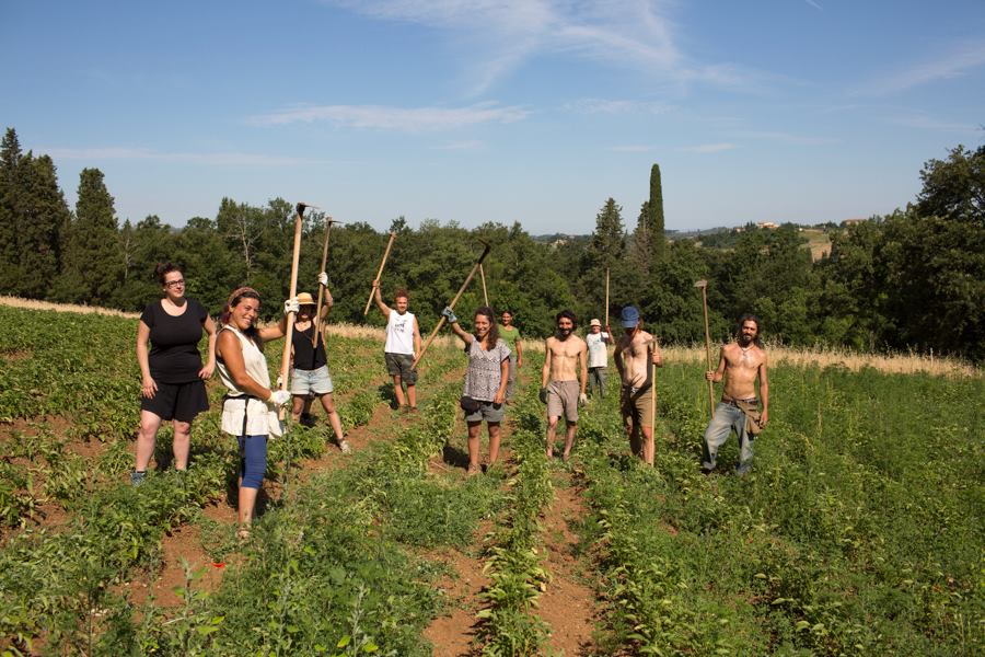 Risultati immagini per Rete Movimento Ecologista