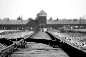 birkenau-402324_640