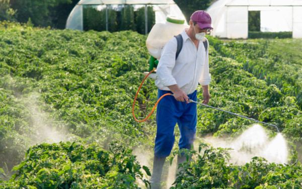 Arno invaso dai pesticidi, come il 90% dei fiumi toscani analizzati