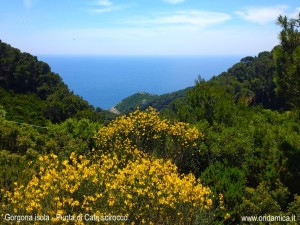 Cala Scirocco