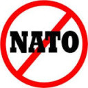 avatar for No Nato Firenze