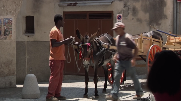 Un paese di Calabria: un film, una storia vera