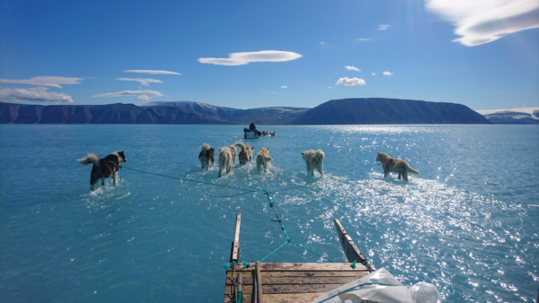 Crisi climatica, o crisi del Sistema