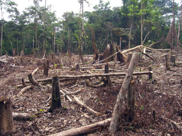 La crisi dell'agricoltura e del clima