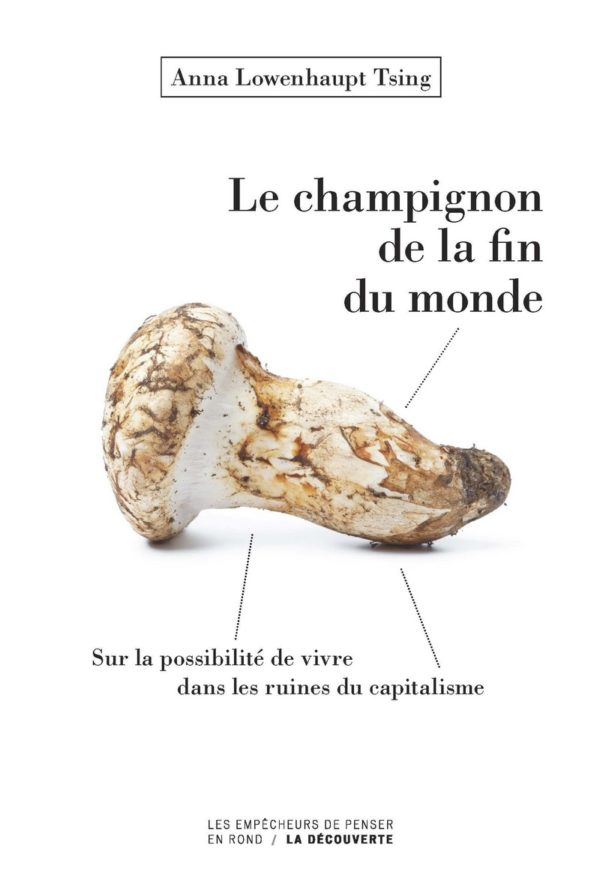 Prefazione all’edizione francese di: Anna Lowenhaupt Tsing, The Mushroom at the End of the World: On the Possibility of Life in Capitalist Ruins