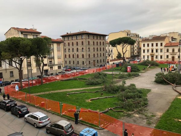 Piazza della Vittoria, per i pini nessuna pietà. Partiti gli esposti alla procura