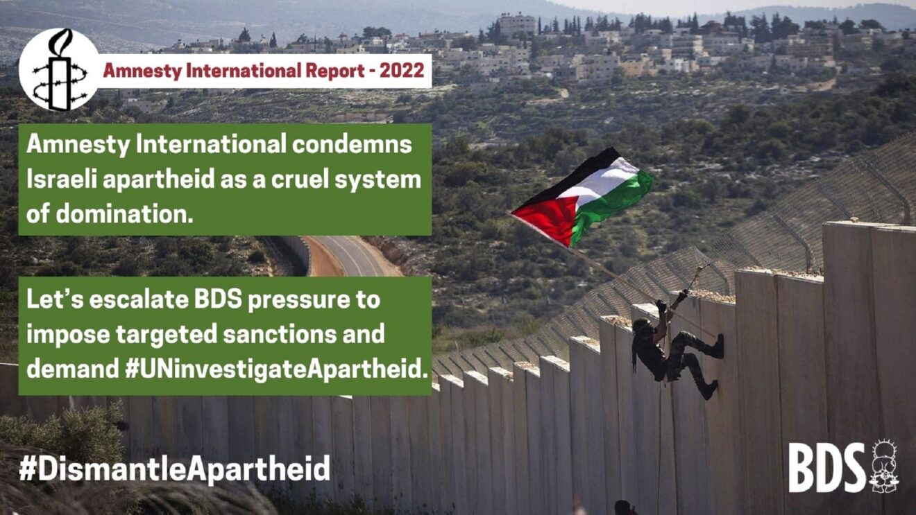 Israele contro Palestina, Amnesty International: ＂È apartheid＂