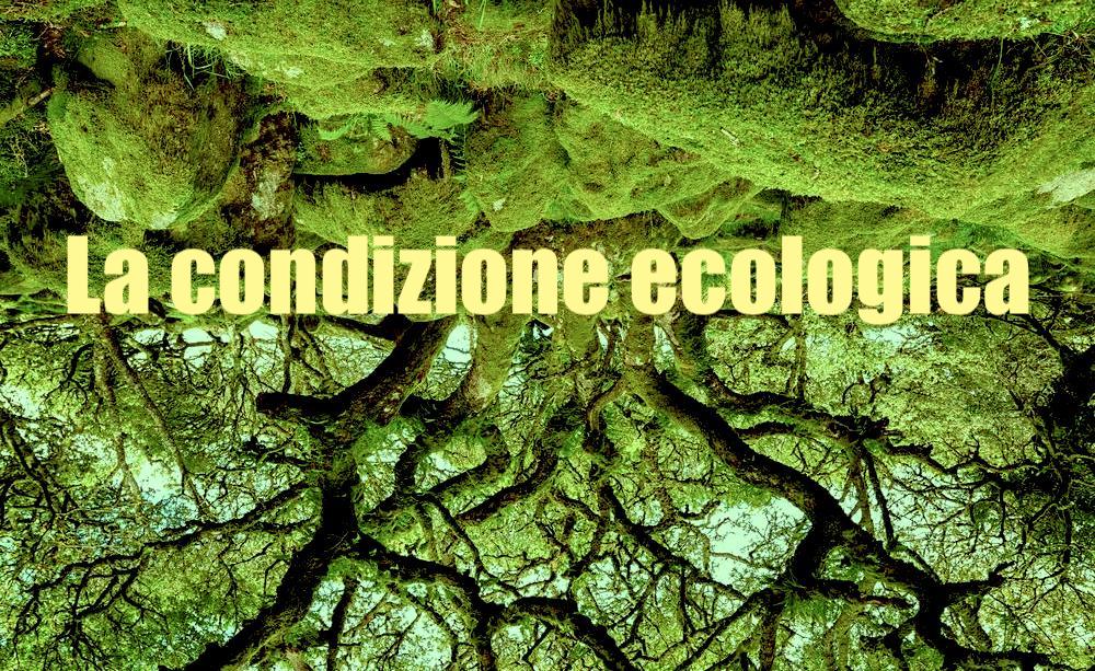La condizione ecologica. Il nuovo libro di Andrea Ghelfi