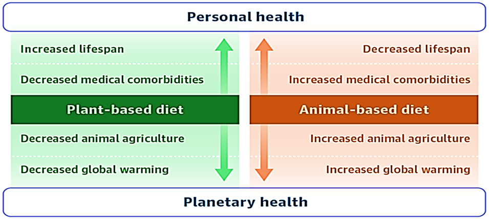 Una dieta per la salute personale e planetaria