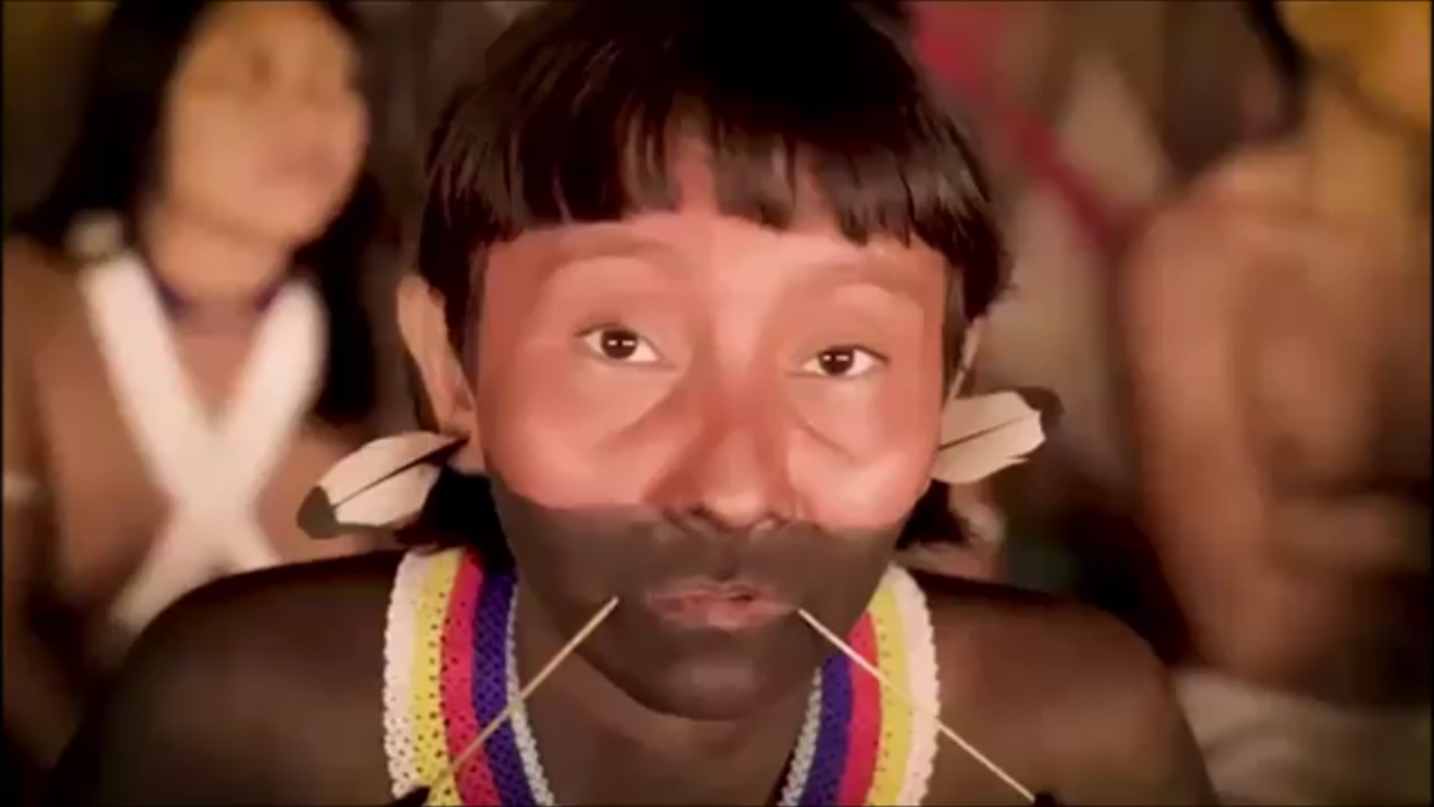 Popoli indigeni che scompaiono e foresta minacciata. Un SOS dall’Amazzonia