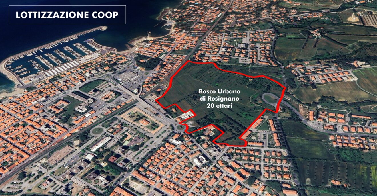 La COOP sei tu, chi disbosca di più?