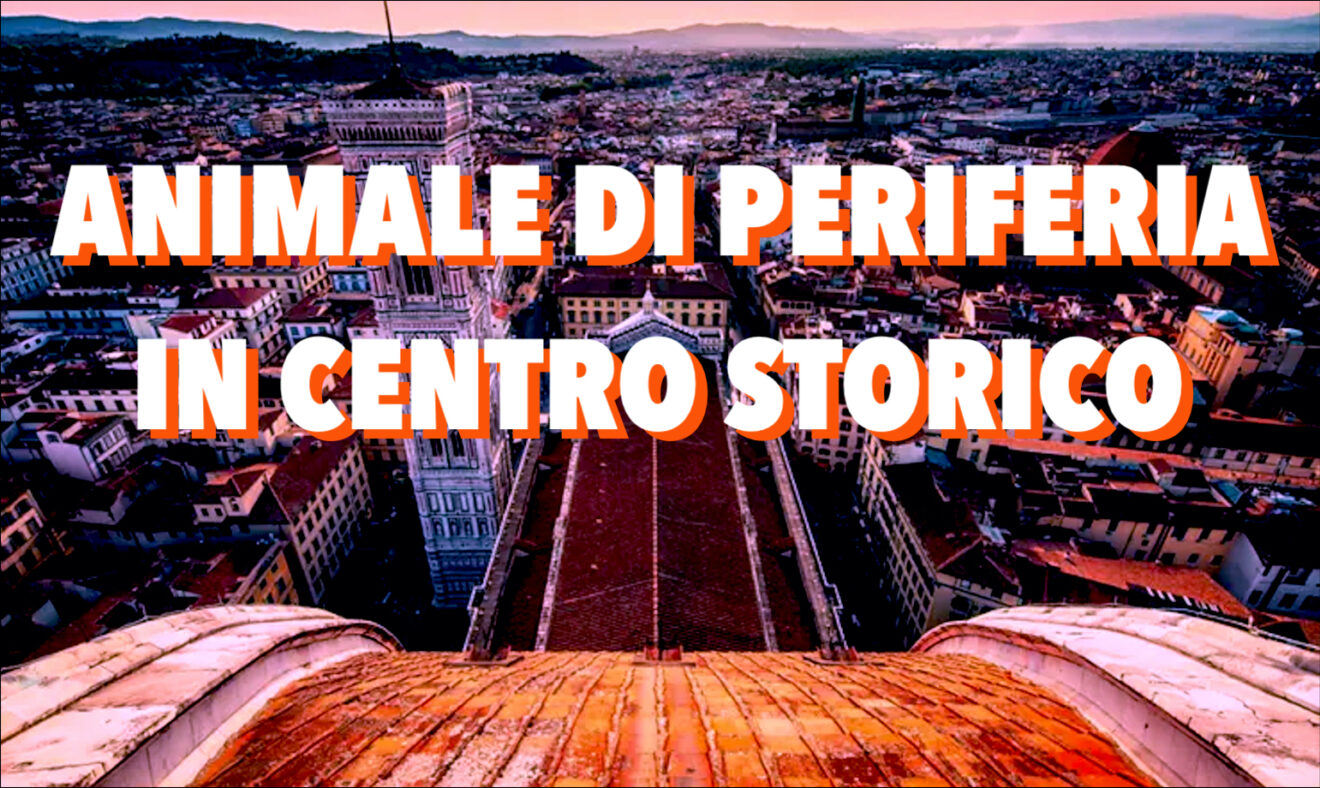 Animale di periferia, in centro storico. Intervista a Gilberto Pierazzuoli