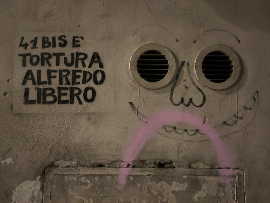 41 bis