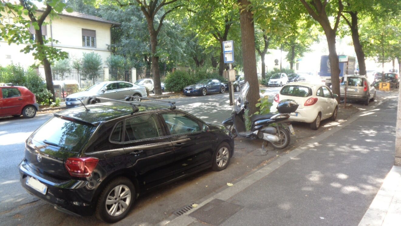 Alberi in città: mitigazione climatica e abbattimento degli inquinanti atmosferici