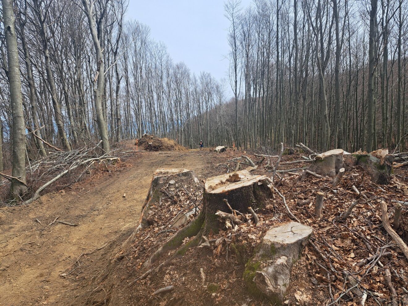 Impianto industriale eolico Monte Giogo di Villore: frana Giogo di Corella dal gasdotto SNAM al Sentiero 00